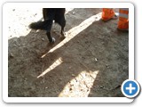 DSCF0038